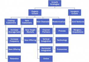 growthstrategies